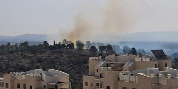 דליקה שריפה ביער חריש; צילום: שלמה אל השחר