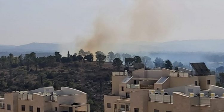 דליקה שריפה ביער חריש; צילום: שלמה אל השחר