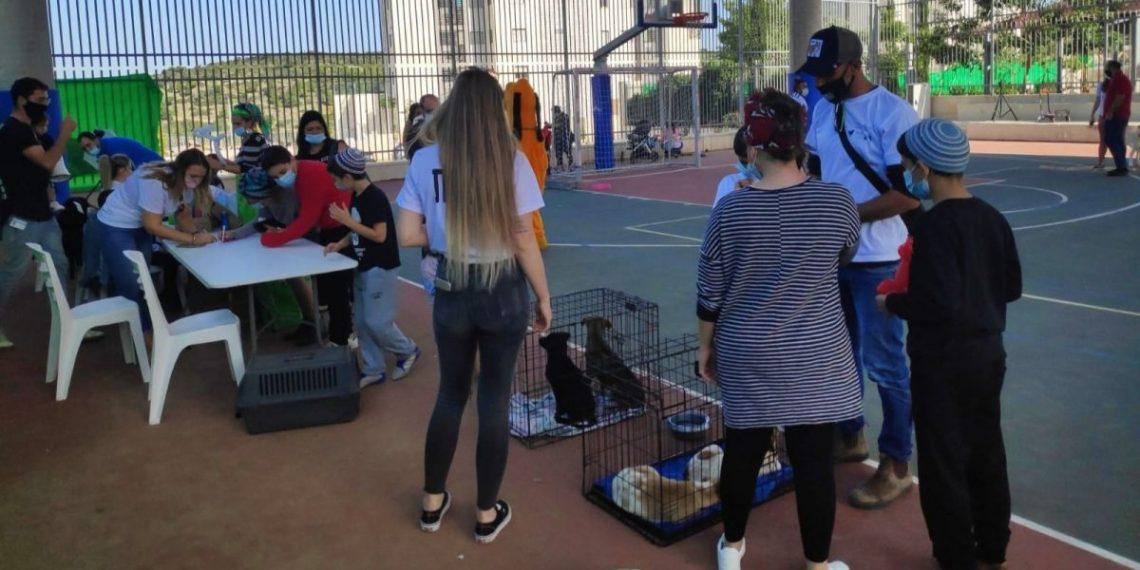 יום אימוץ כלבים