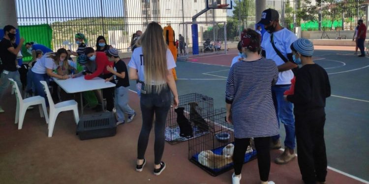 יום אימוץ כלבים