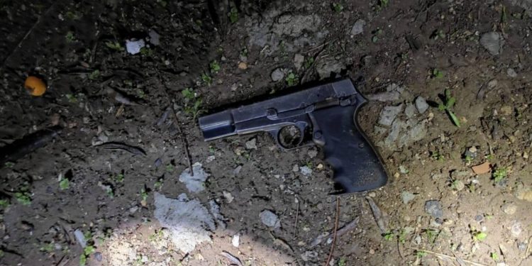 אקדח צילום: דוברות משטרת ישראל