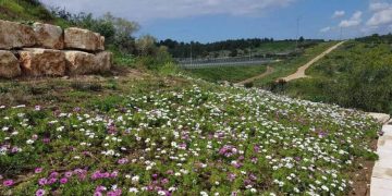 גינה גינות גינון ריסוס צילום: דוברות עיריית חריש