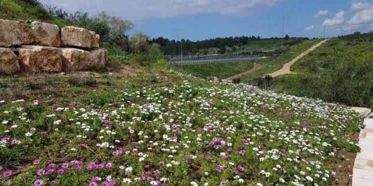 גינה גינות גינון ריסוס צילום: דוברות עיריית חריש