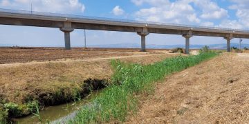יתושים נגועים בנגיף קדחת מערב הנילוס התגלו בנחל עדשים ובנחל בענא