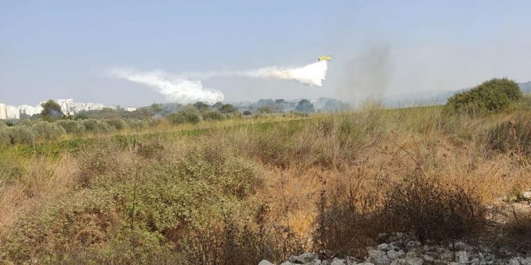 שריפות חורש בחריש, קציר וחדרה