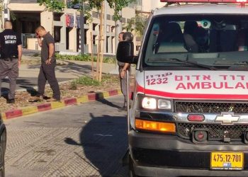 תאונת דרכים פגע וברח צילום לילי בן חיים