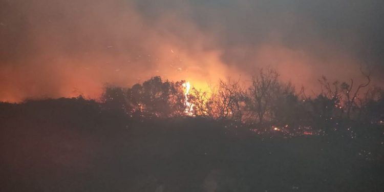 שריפה בקציר צילום: כב"ה