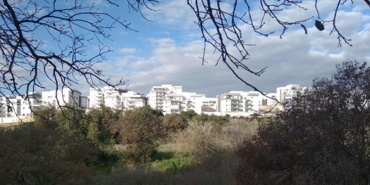 בצוותא נחל נרבתה