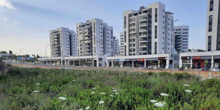 מעו"ף דרך ארץ